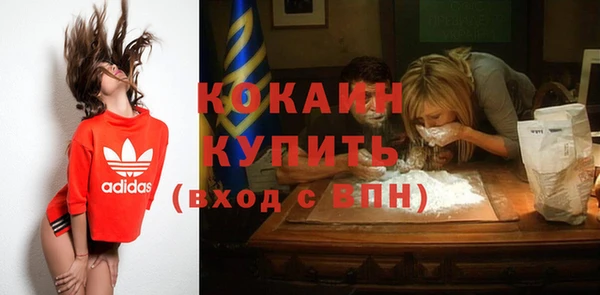 прущие грибы Балахна