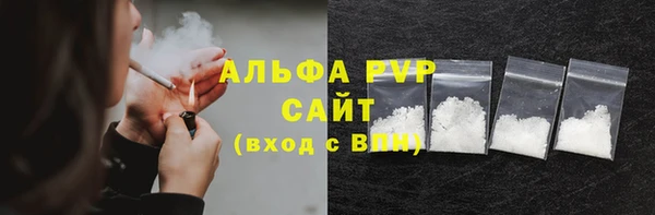 прущие грибы Балахна