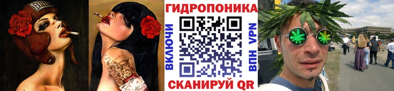 где купить   Благодарный  Конопля ГИДРОПОН 